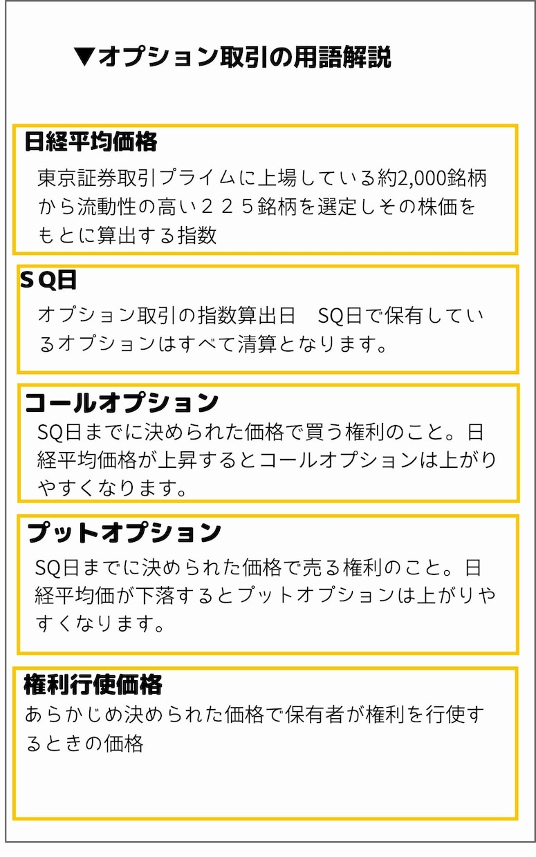 オプション取引の基礎から稼ぐまでの手法を伝授します 日経２２５オプション【チャート・指数不要】勝ち組手法を大公開 イメージ5