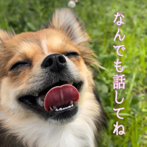 とにかく話したい人！何でも聞きます 今の気持ちまるっと受け止めます♪安心して何でも話して下さい イメージ3