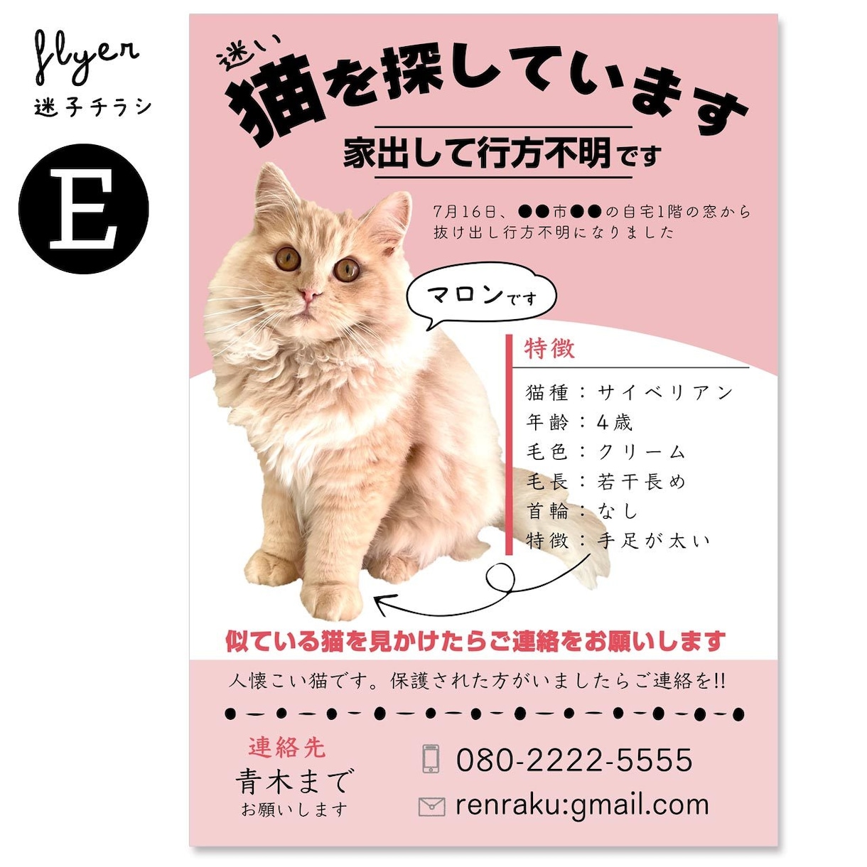 迷子チラシ（猫･犬･鳥など）をお作りします 最愛のお子さんを目立つようにデザインします イメージ8