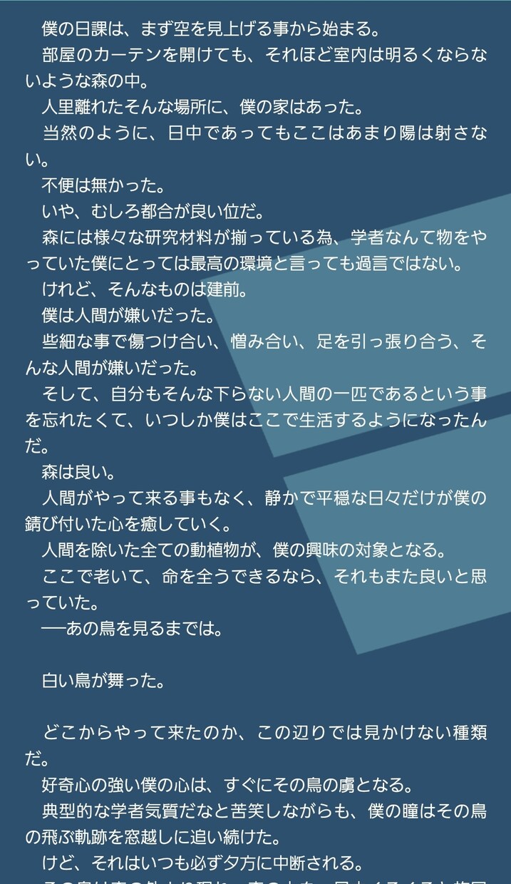貴方のオリジナル小説、執筆します 頭の中にある物語、形にしましょう！単価は激安、1文字1円！ イメージ4
