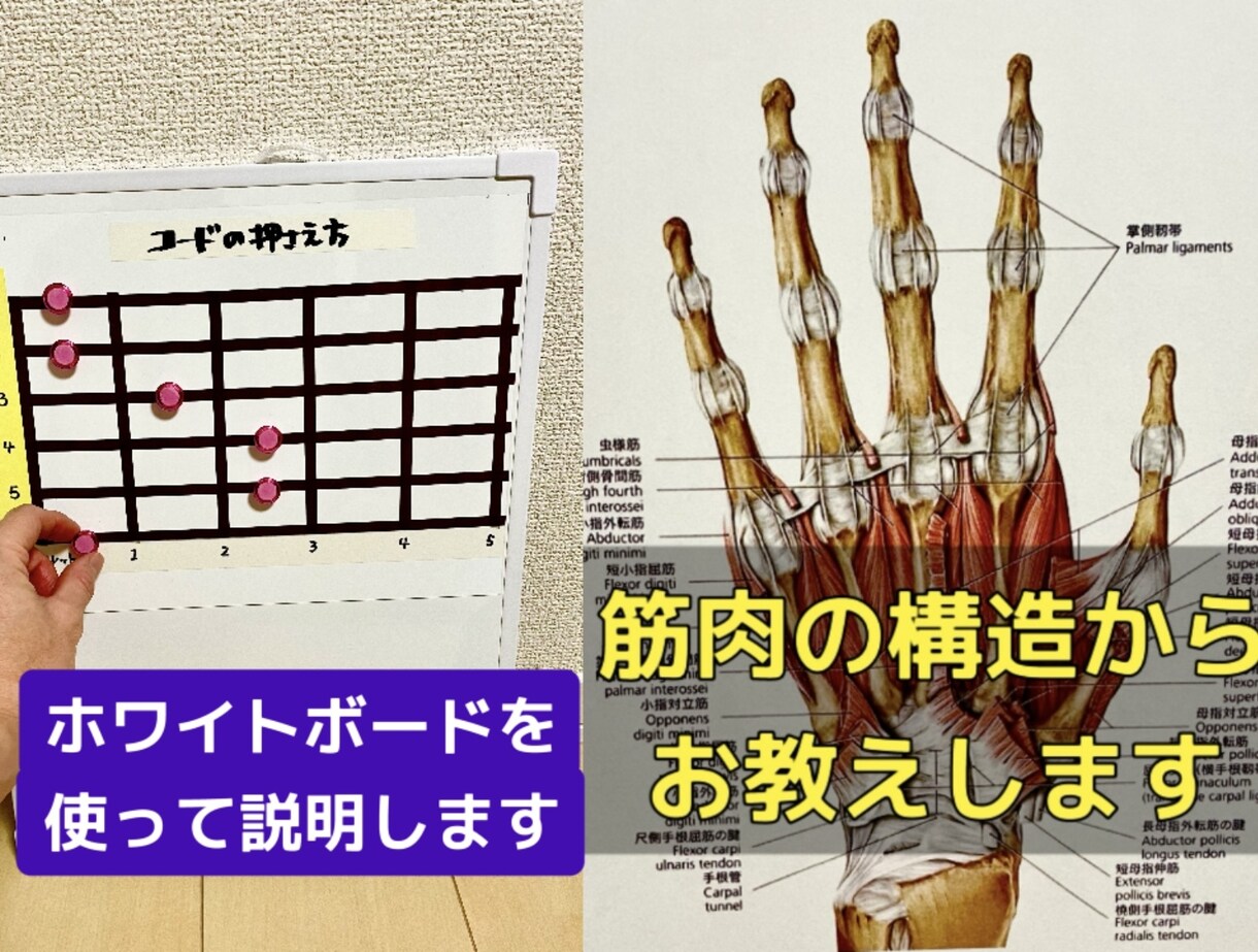 ギターコードを弾きたい人へ！ポイントを教えます 初心者の方大歓迎！あなたの筋肉・神経・姿勢からアプローチ イメージ3