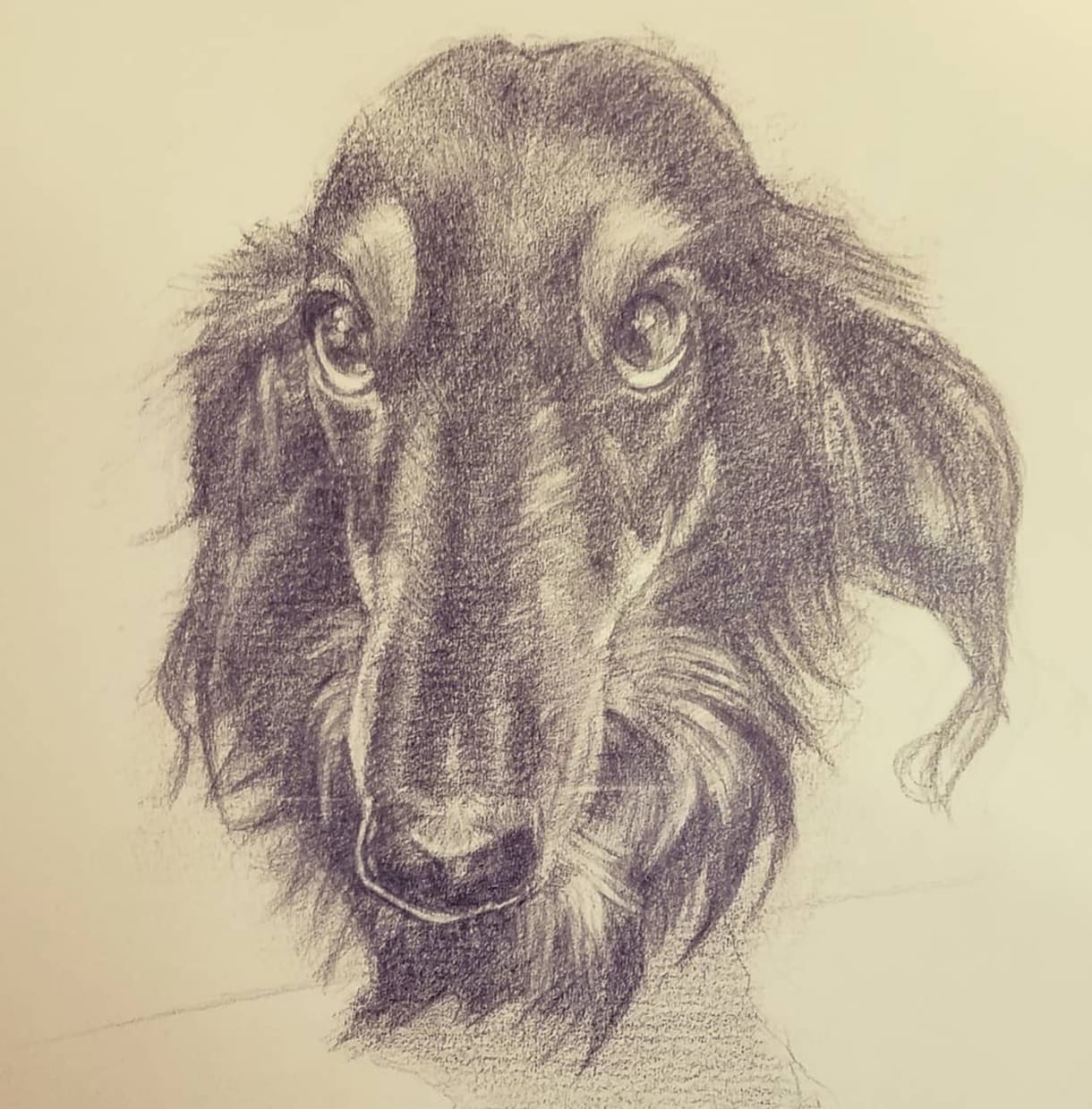 ペットは家族。お気に入りをお描きいたします この一瞬がどうしても好き！まずは御相談ください。 イメージ3