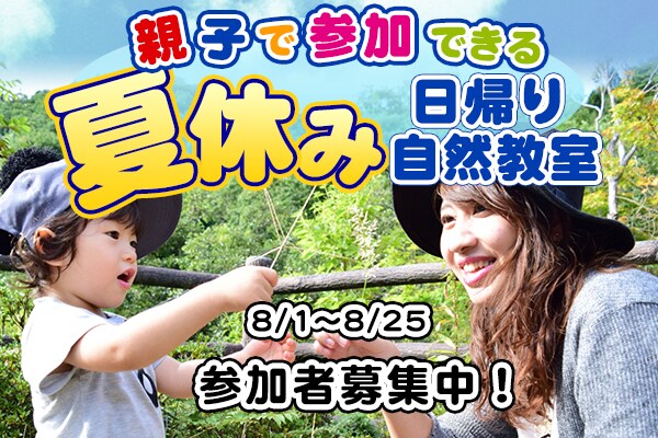 楽天・ヤフー・WEBサイトの画像・バナー作成します 現役ネットショップのデザイナーが売れる画像を作成します イメージ5