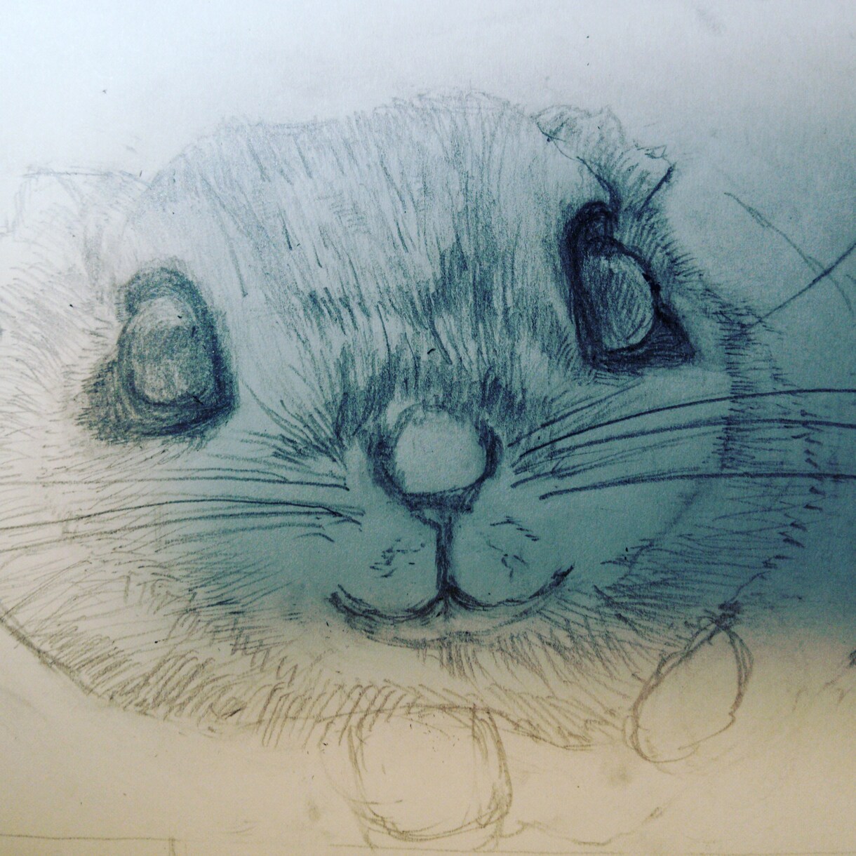 ペット、野生動物の絵描きます ペットや野生動物の鉛筆画描きます イメージ4