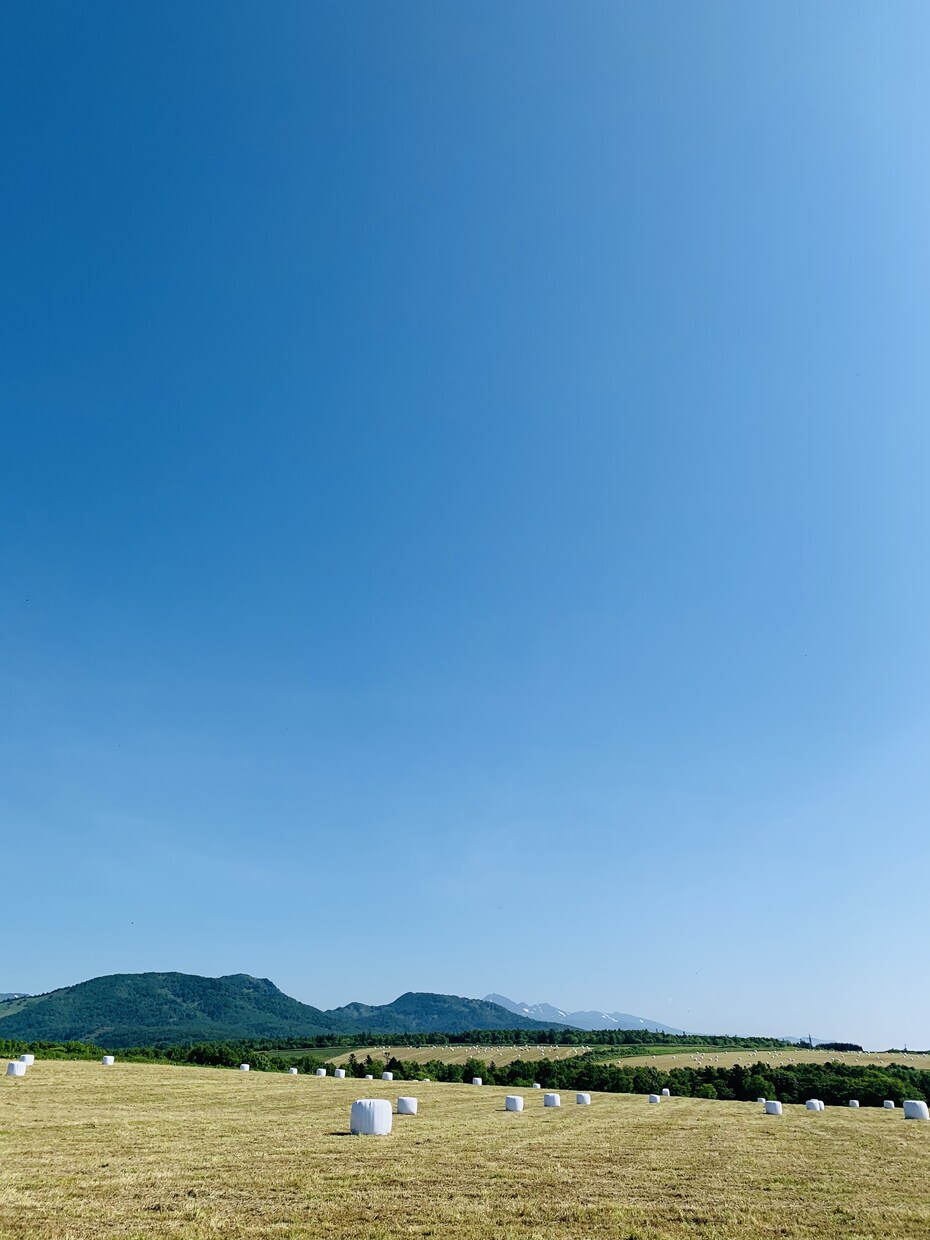 家族で北海道移住・就農相談のります 脱サラ夫婦で牧場／三男ニ女ママがリアルな経験や思いを伝えます イメージ3