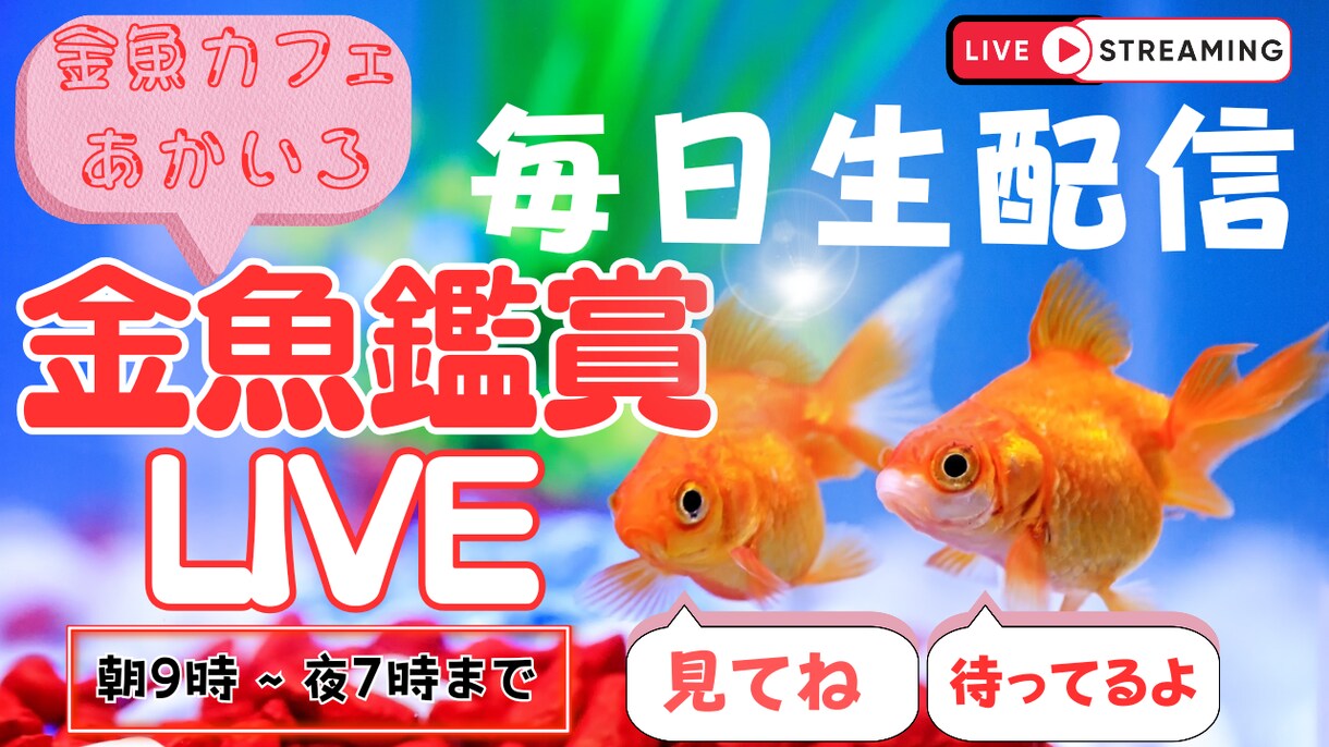 ジャンル限定！YouTube用サムネイル作成します ペット・スピ系限定ですが、丁寧に作成させていただきます。 イメージ10