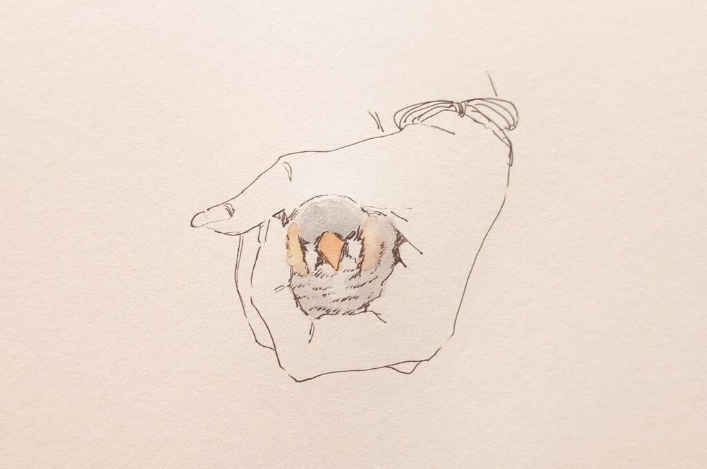 ペンと水彩のお洒落なペットのイラストお送りします 自分用はもちろん、プレゼントにも！ イメージ2