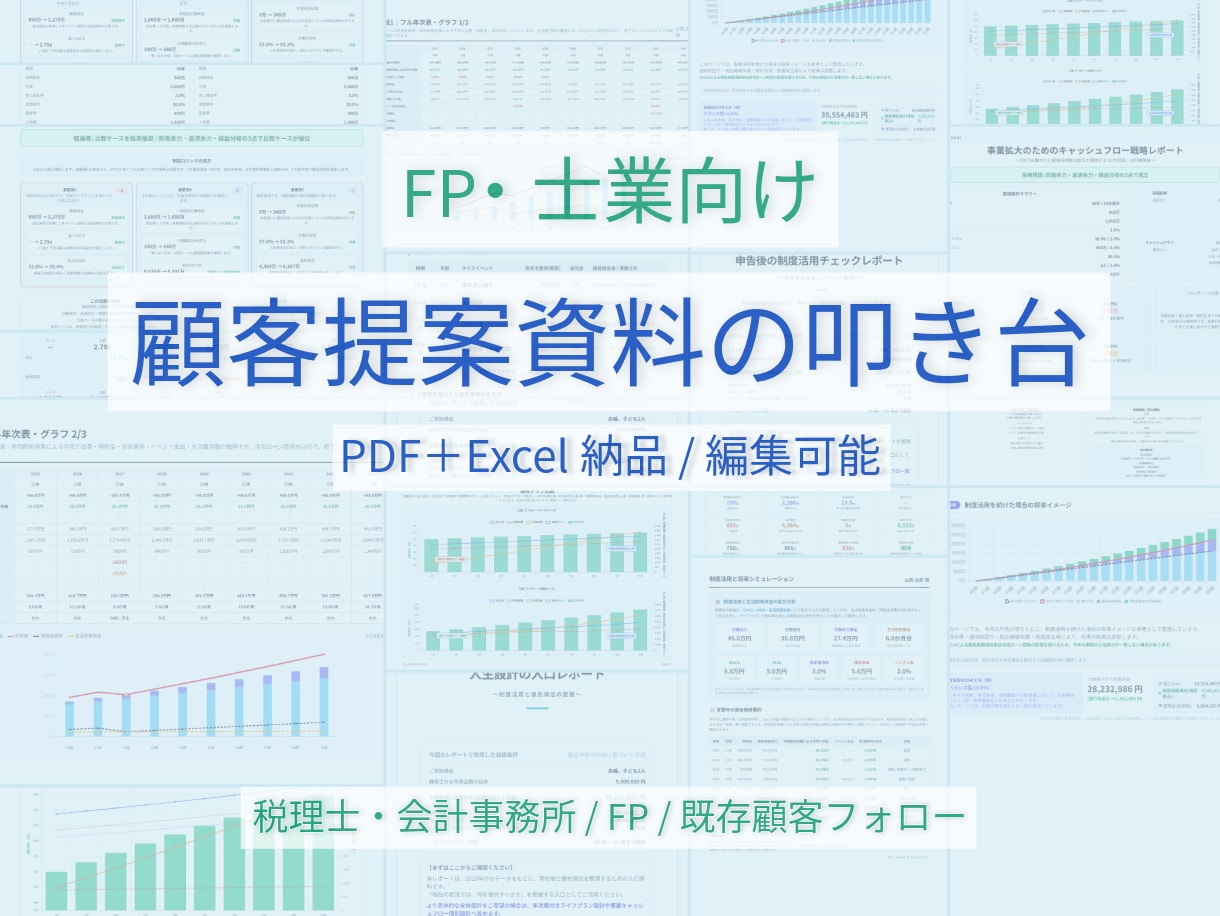 FP・士業向け/顧客提案資料の叩き台を作成します 数字を顧客説明用に整理します　PDFとExcelで納品します イメージ1