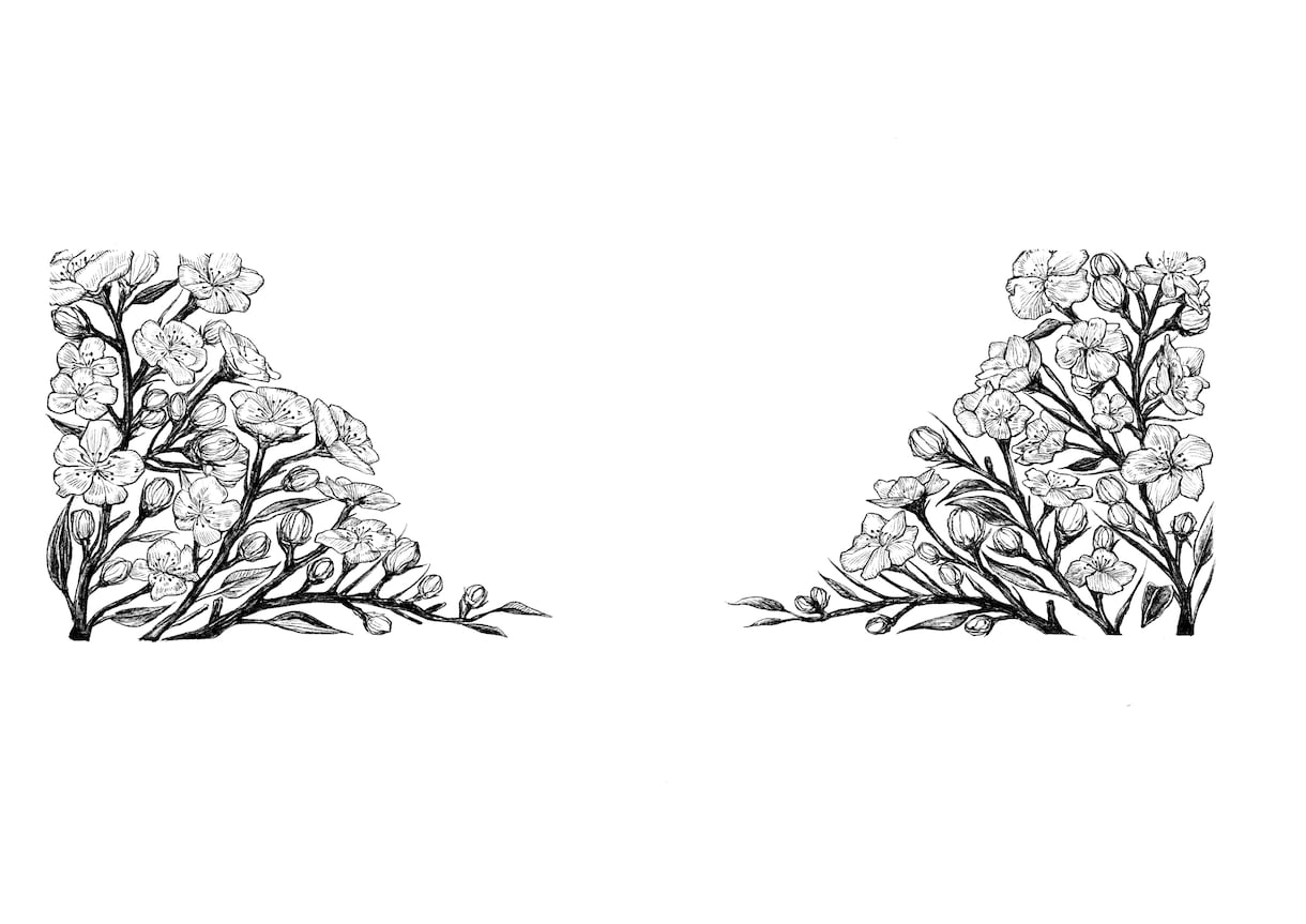 店舗装飾に実績あり＊手描きの植物イラスト描きます カフェのガラス面装飾など商業実績のある繊細な手描きペン画 イメージ3