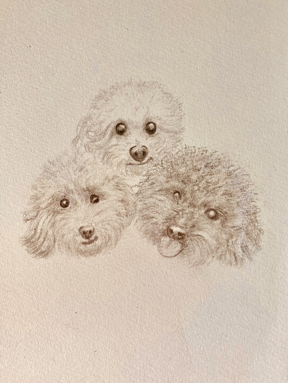 あなたの大切なペットを描きます 愛らしさが更に引き立ち癒されます イメージ2