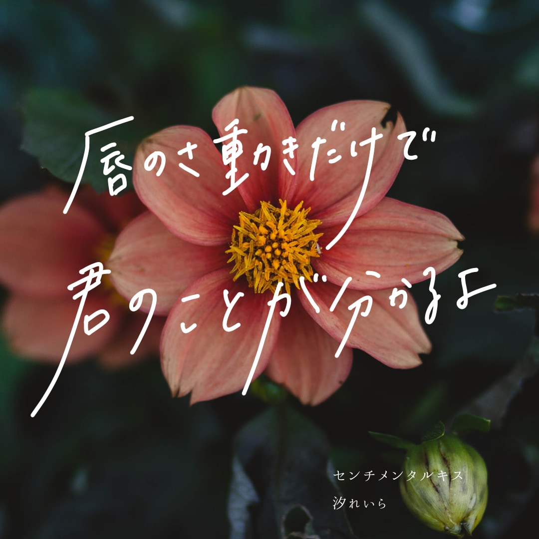 オシャレで目を惹く「手書き文字」を書きます Webサイトや印刷物、SNS投稿に”もう一工夫”のお手伝いを イメージ1