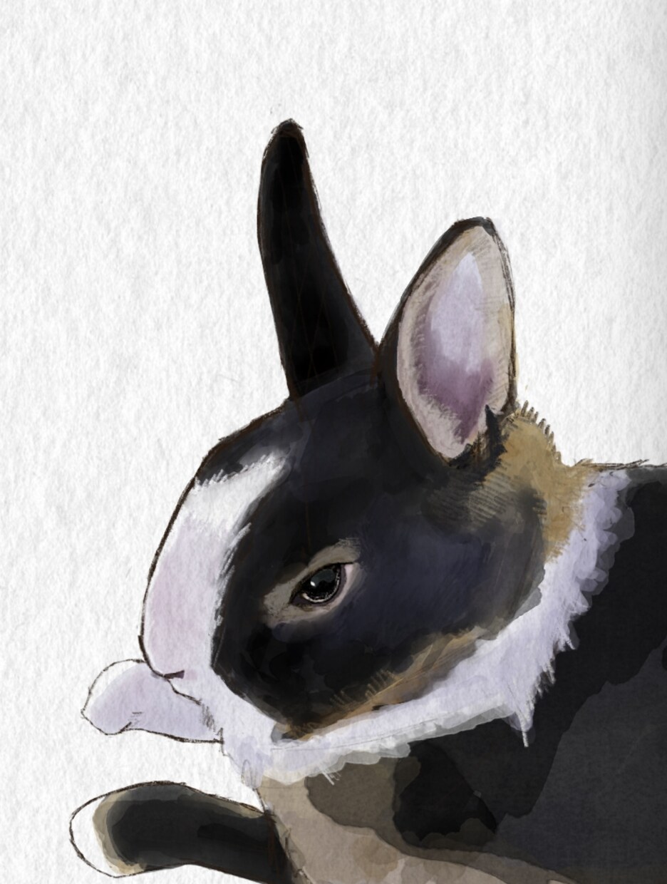 大切なペットの絵を水彩風に描きます 大切な家族のペットの写真をオシャレに水彩風に描きます イメージ4