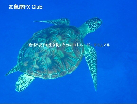 絶対不況を生き延びるために毎日現金を生み出します 安定して利益を生む「お亀屋FXトレード・マニュアル」 イメージ1