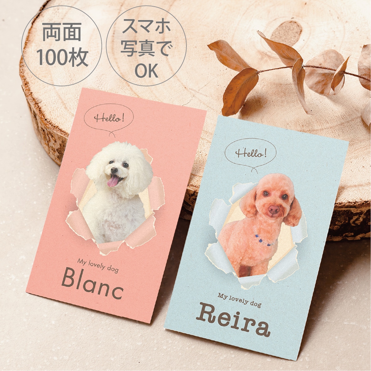 写真入り犬猫ペット名刺 色と書体が選べます スマホ撮影でOK! デザイナーへのセミオーダー100枚送料込 イメージ1