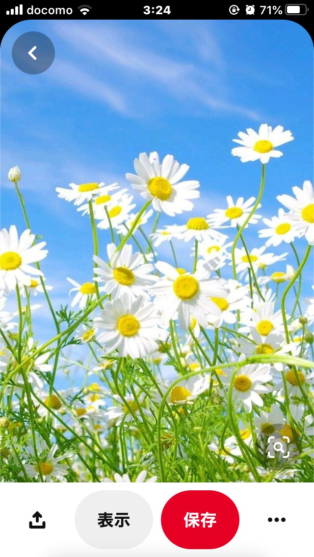 未来のあなたが、あなたを見て微笑んでいます 数十年先のあなたになって、あなたを見つめてみてください^_^ イメージ1
