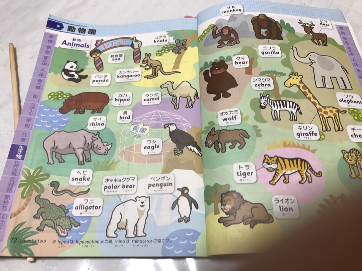 キッズ 3歳から6さいまで英語を教えます 楽しみながら基礎から英語をおします！楽しくやりましょう！ イメージ3