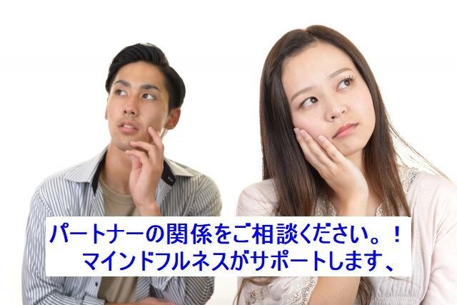 パートナーの関係をより快適にして行きます 上司、部下、夫婦、パートナー、職場、等の人関係の対策をします イメージ1