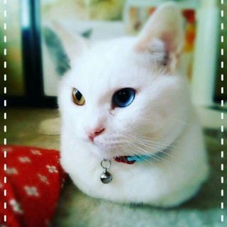 アナタのお話聞きます 愚痴や悩み話してスッキリ！！私にお手伝いさせてください。 イメージ2