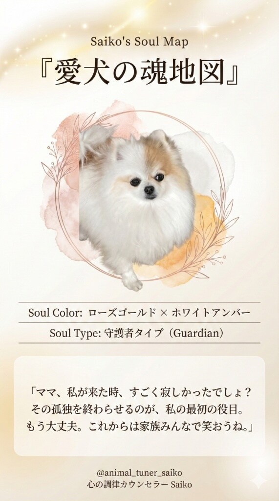 心理学×霊視！愛犬の魂の地図を作ります 「なぜ私を選んだの？」愛犬の使命と愛を地図にします イメージ3