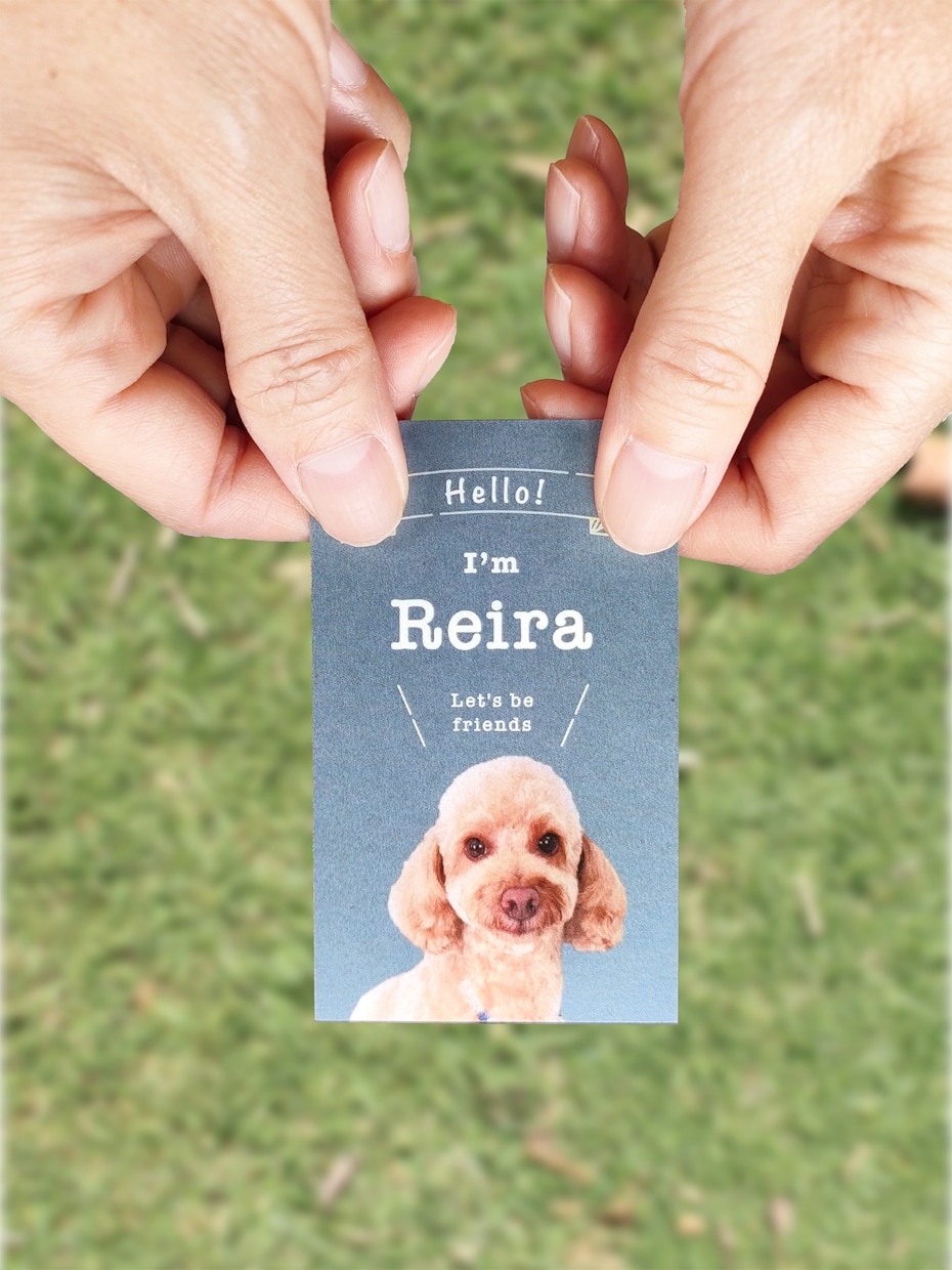 ペット写真入り名刺｜犬猫うちの子名刺制作します スマホ撮影OK! 色と書体が選べるセミオーダー100枚送料込 イメージ2