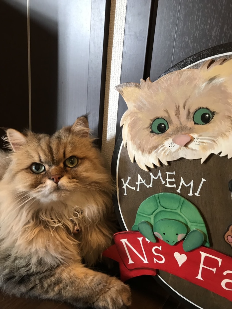 ペットを愛する方におすすめします 愛するペットを木の温もりとともに イメージ2