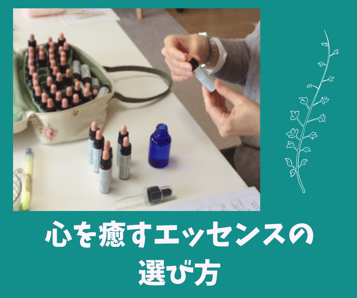 バッチフラワー✨プライベートレッスン✨教えます 自然からの贈り物✨植物の波動を使った心を癒し整える自然療法✨ イメージ7