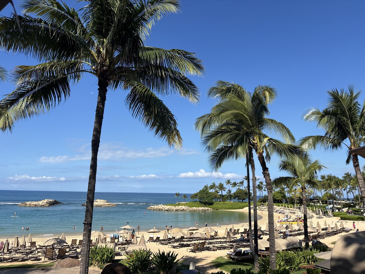 HAWAII旅行の大満足プラン作成します 毎年1回以上、ハワイに行っているので最新情報をお伝えします イメージ1