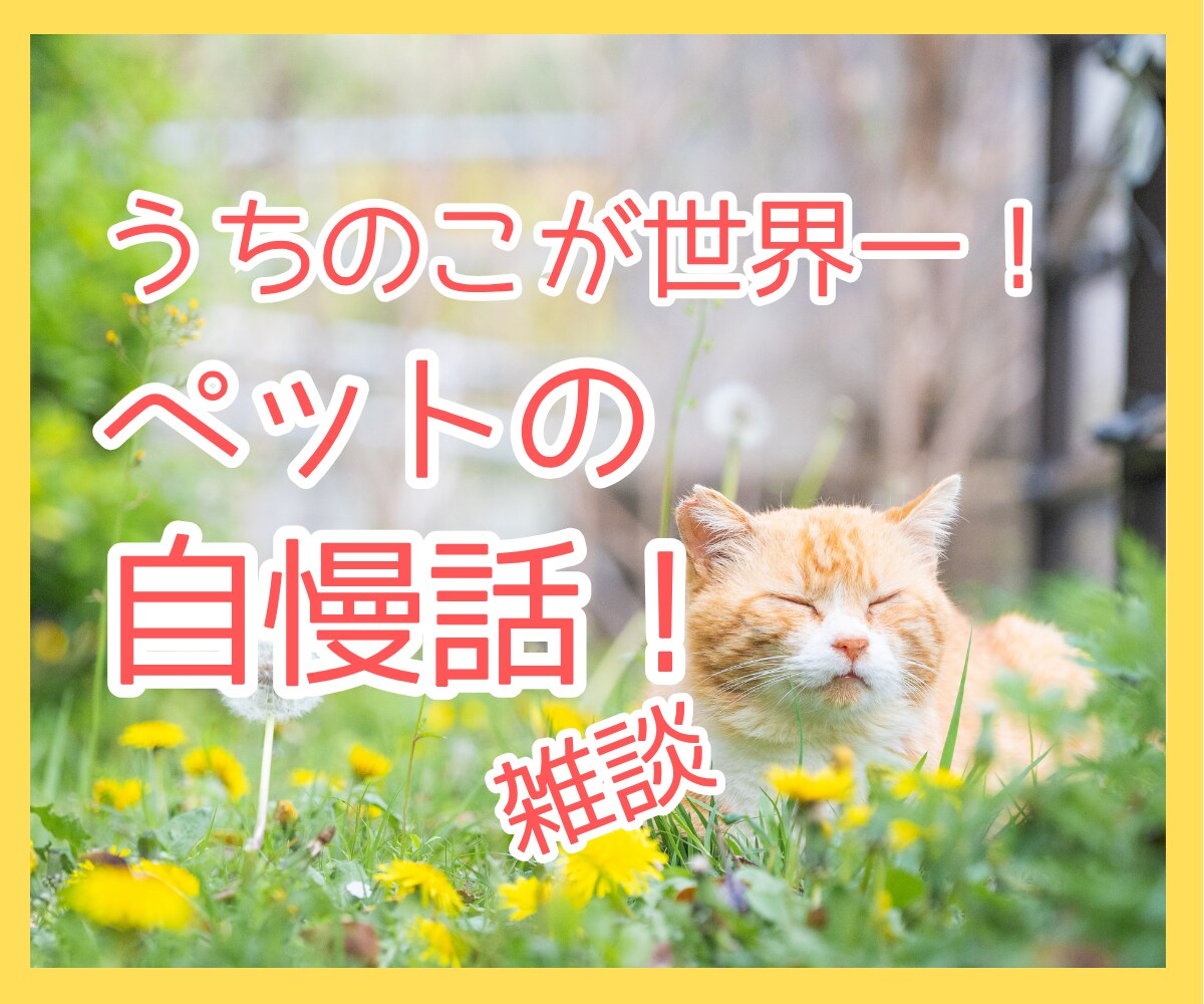 猫大好きトーク！猫以外でも！ペット自慢｜聴きます ペットのお話をしましせんか？✨自慢の家族のお話をしましょう！ イメージ1
