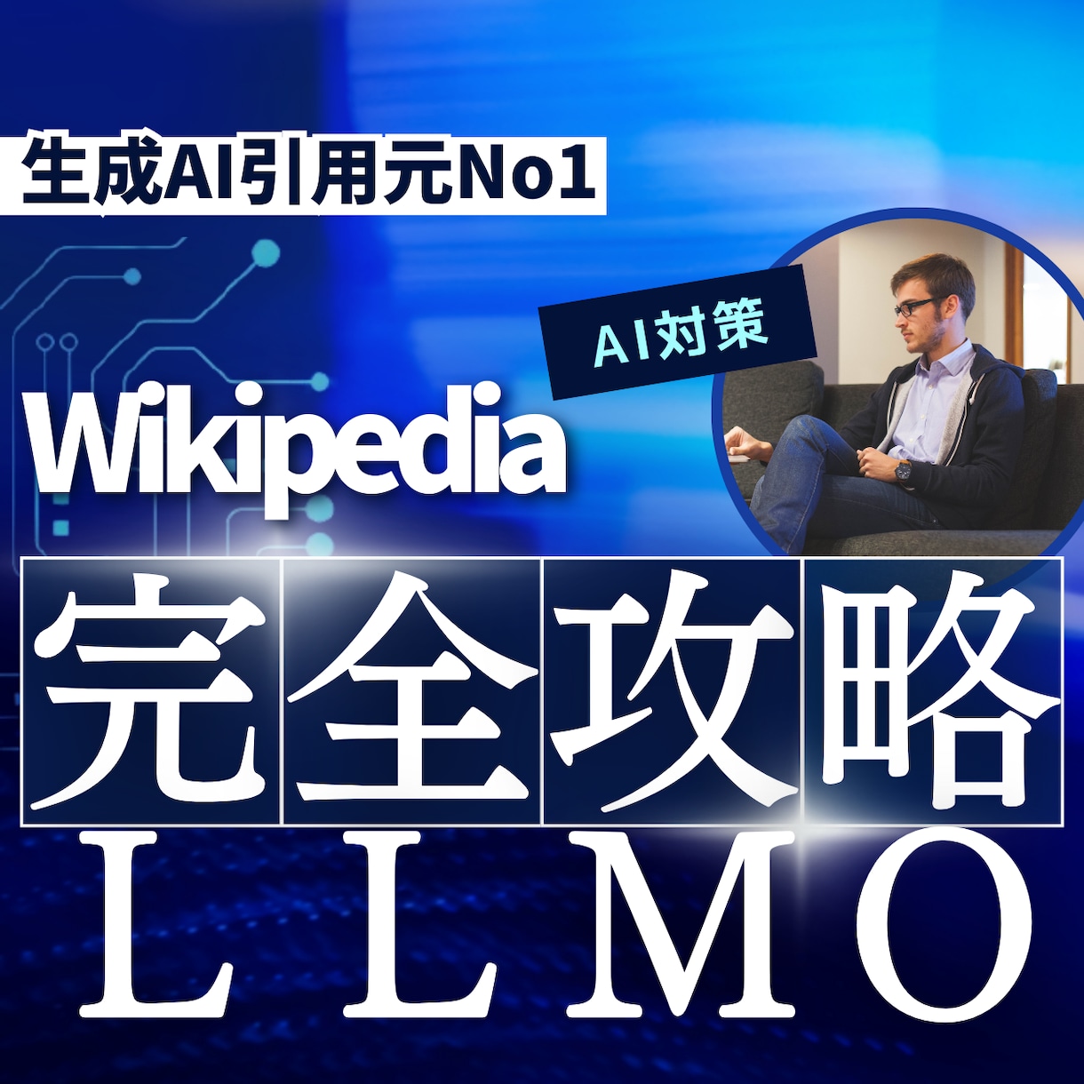 GEO,LLMO,AIO,AI検索対策の診断します wikipediaを使ってAI検索の引用最大化 イメージ1