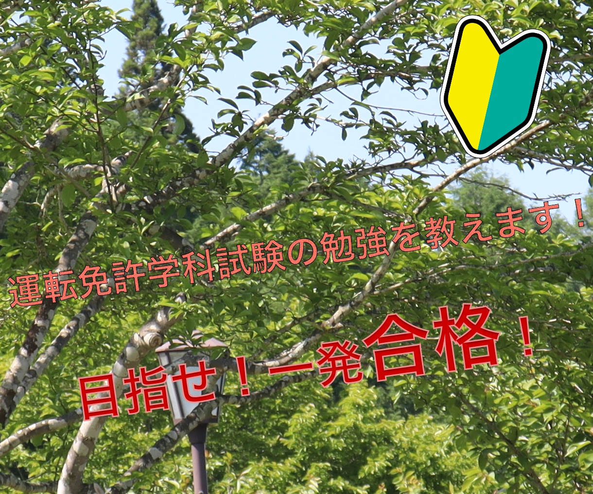運転免許学科試験のサポートをします 目指せ一発合格！免許を取ろう！ イメージ1