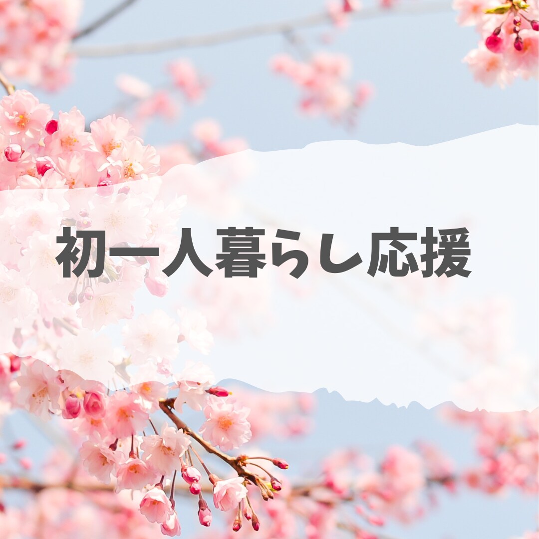 賃貸物件探し手伝います 初一人暮らし応援。おおむね満足のいく部屋に住もう。 イメージ1