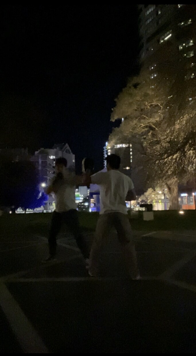 オンラインパーソナルトレーニングを行います あなたのフィットネス目標を一緒に達成しましょう！ イメージ3