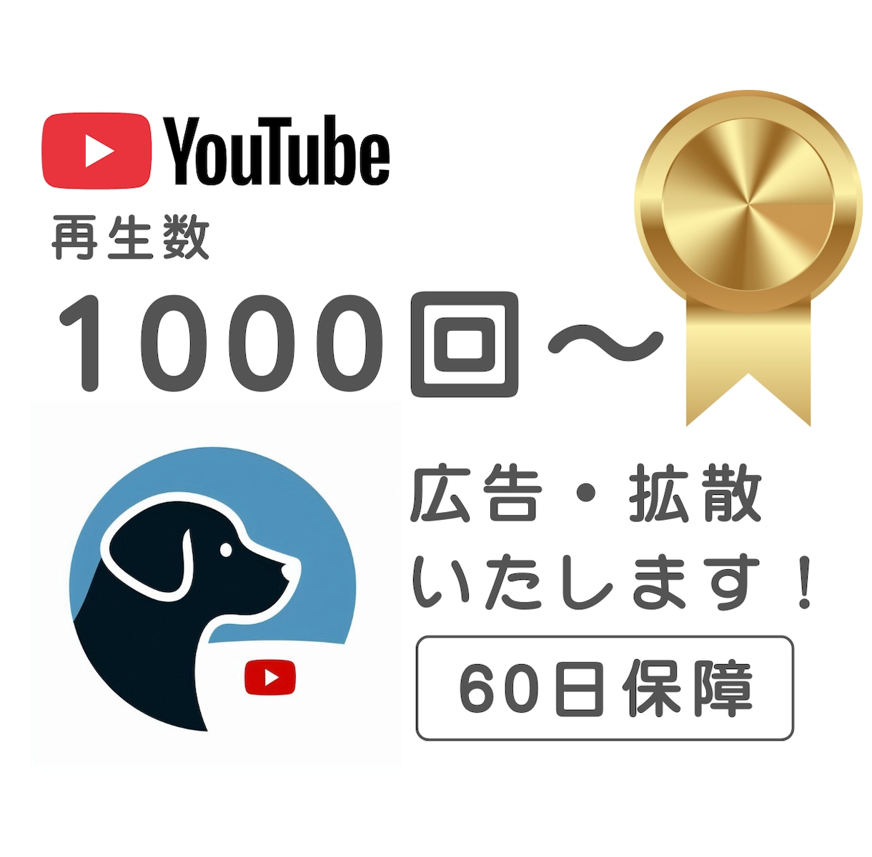 あなたのYoutube動画再生数を加速します 再生数を1000回ご支援＋長期保証付き！ イメージ1