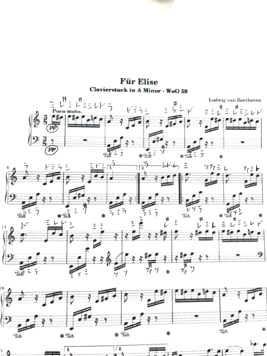 現役音大生が楽譜に音名（ドレミの音）を記入します 【最速即日納品】ピアノの練習時間をもっと効率的に！ イメージ2