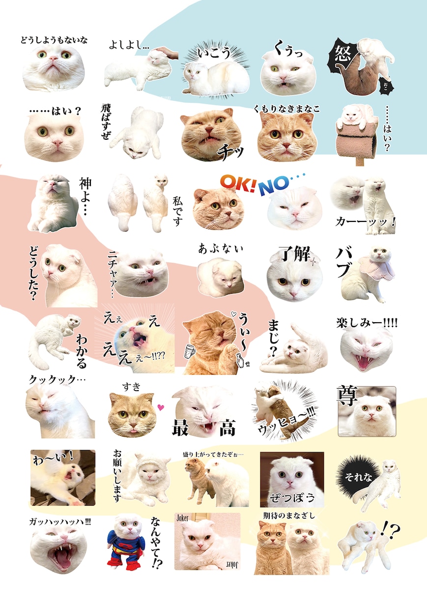 ペット、お子様のお写真でLINEスタンプ作ります 可愛くシュールに！アレンジしてお作りします。 イメージ2
