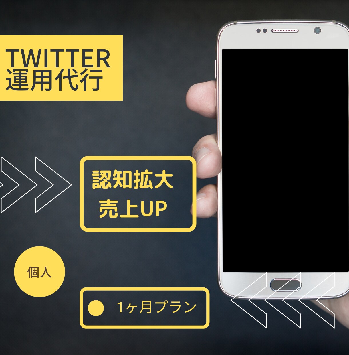 プロがTwitterを1ヵ月運用します 個人様商品の認知拡大と売上UPに繋げるためのサービス イメージ1