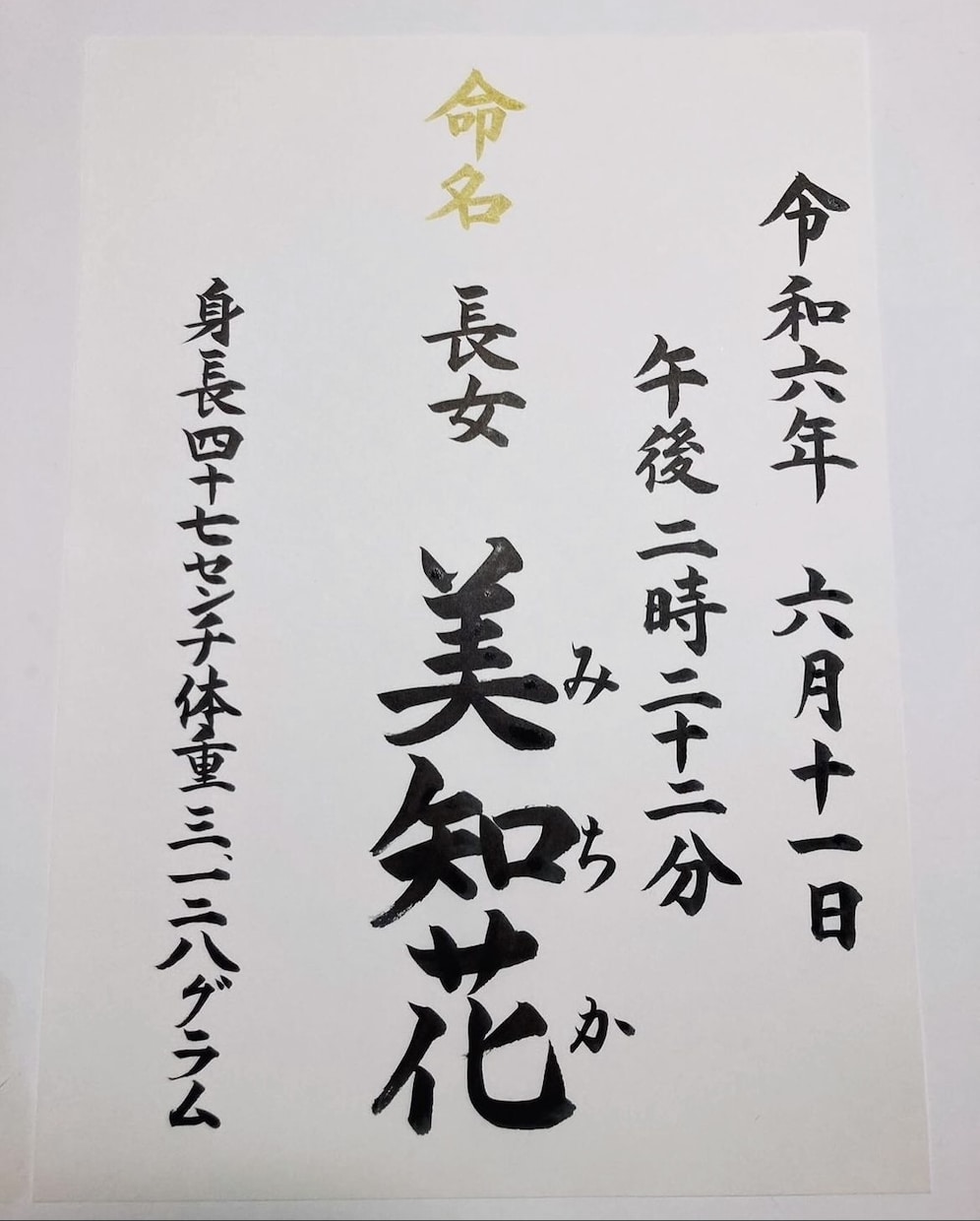 スタンダードな【命名書】手書きで作成致します 美しい⭐︎楷書文字で代筆させて頂きます。 イメージ3