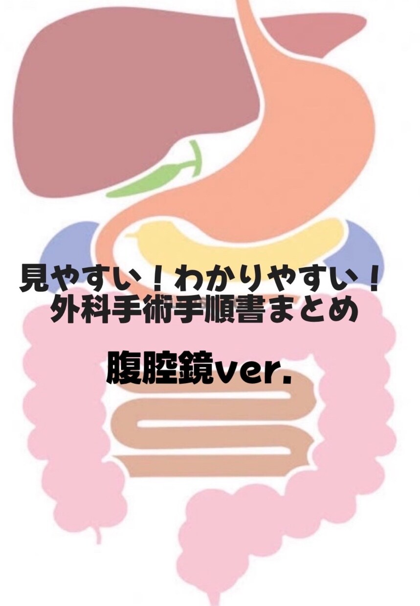 消化器外科手術手手順書お渡します あなたの自己学習をサポートします！これで知識も理解も深まる！ イメージ1