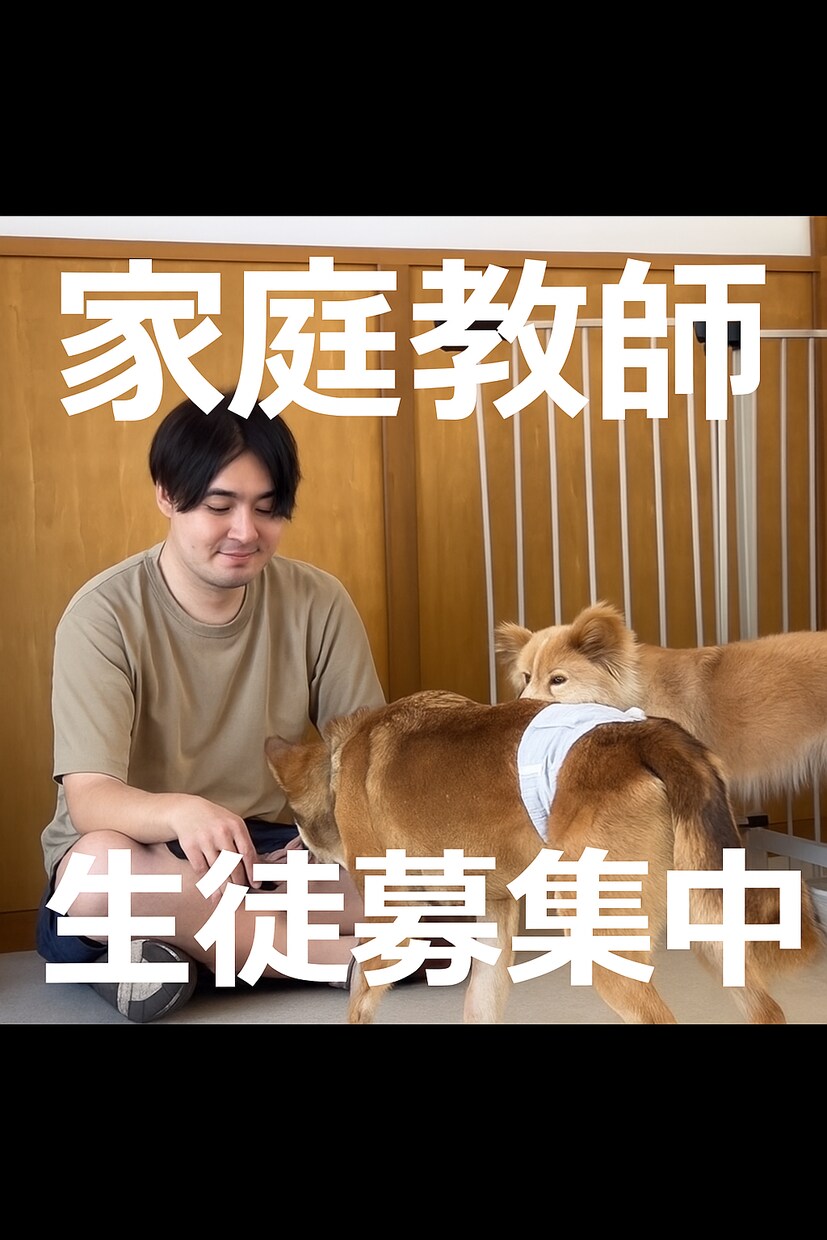 新規の方専用｜体験で勉強の悩みを分析＆改善します 講師との相性を確認してから続けられる安心プラン イメージ1