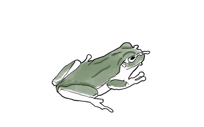 イメージのようなテイストのイラストを描きます リアリティがありながら、可愛らしさのあるイラストが得意です。 イメージ8
