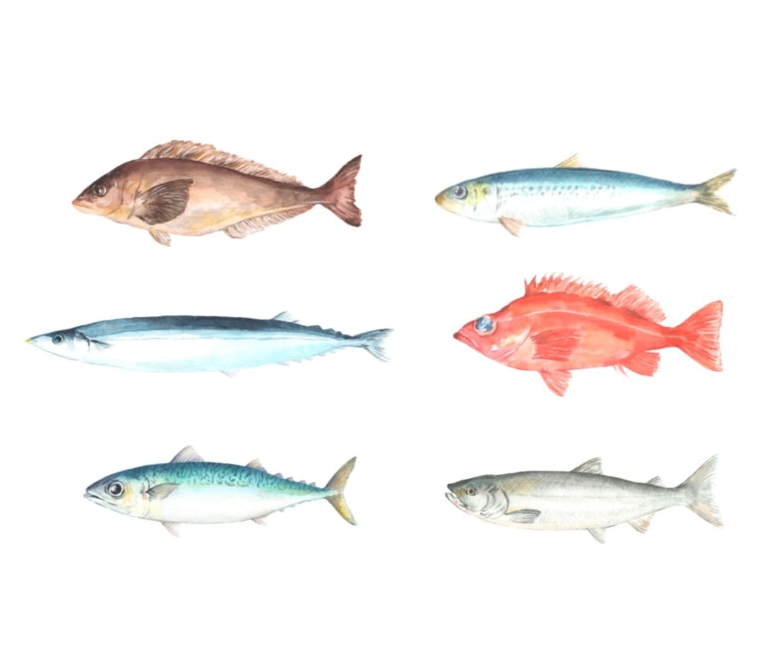 食べ物や商品を手描きの水彩画で描かせていただきます 一目見ておいしそう！と思ってもらえる絵を心を込めて届けます イメージ5