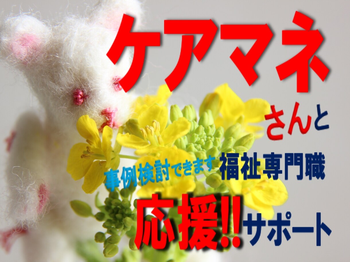 介護支援専門員の徹底サポート◇ご相談をお受けします ケアマネ支援・技術向上・ケアプラン・事例、困難ケース等に対応 イメージ1