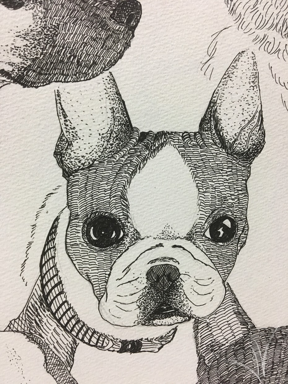ペットのイラスト描きます 大切なペットのイラストをペン画で描きます！ イメージ2