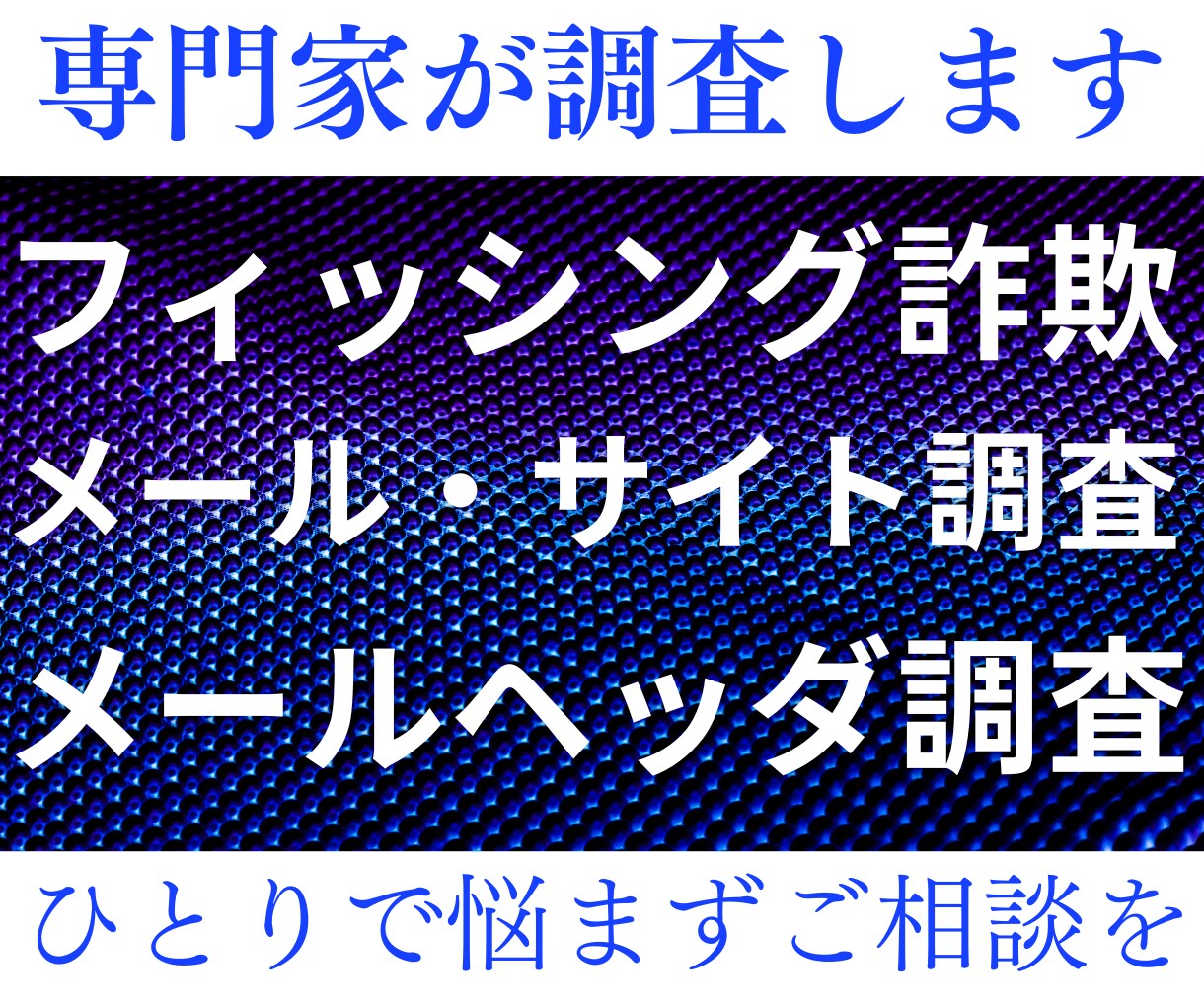 フィッシング詐欺メール・サイトの調査判定をします 不審なメールが届いたけど本物か判断できないかたをサポート イメージ1