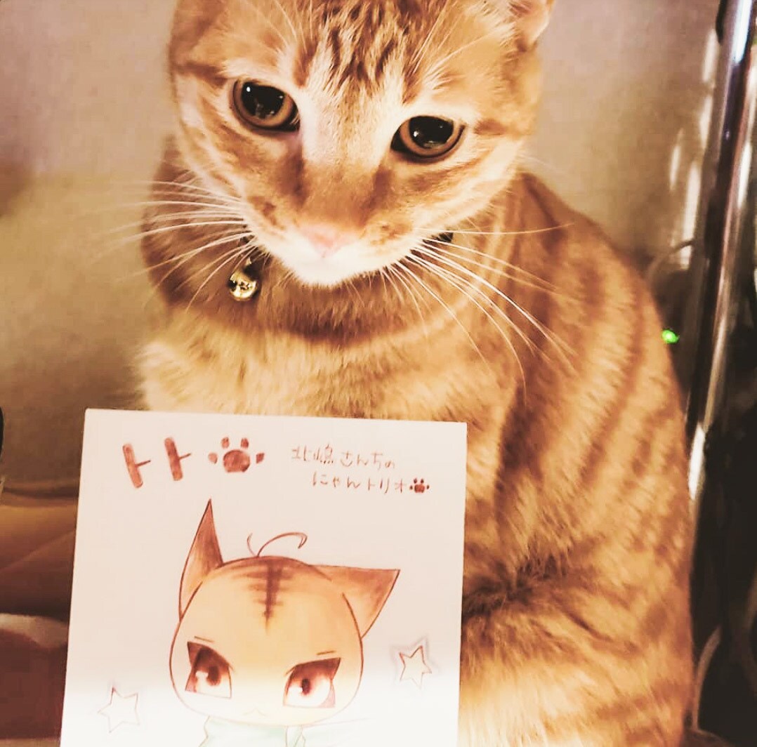 温もりあるタッチでアイコンなどイラスト描きます デジタル納品から手書きイラストまでお任せください☆ イメージ6