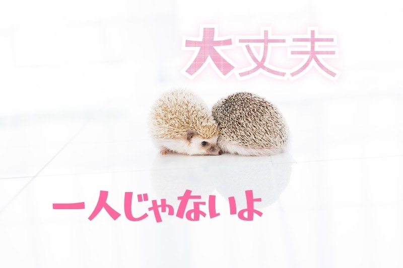 ちょっと聞いてよ、こころさん！恋のお悩みお聞します 人を好きになる…貴方のその大切な想いに、寄り添わせてください イメージ4