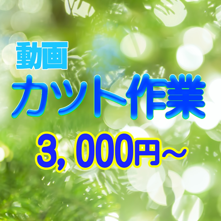 超シンプル！カット作業のみ承ります 無音、フィラーワード、不要な部分を細かくカット！！ イメージ1