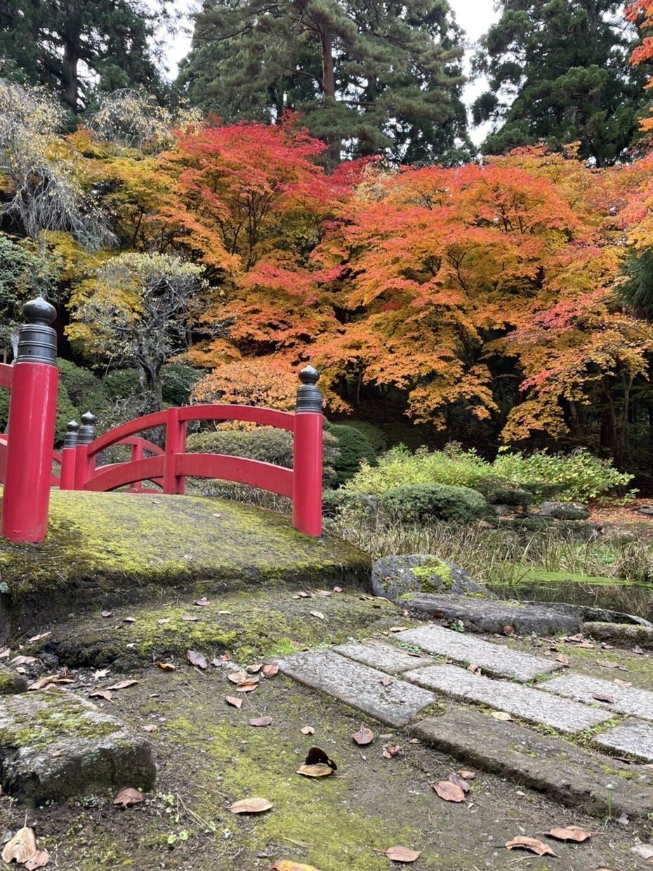 誰にも言えない悩みのアドバイスをします 人生や生きる意味色んな面の相談を聞きます イメージ1