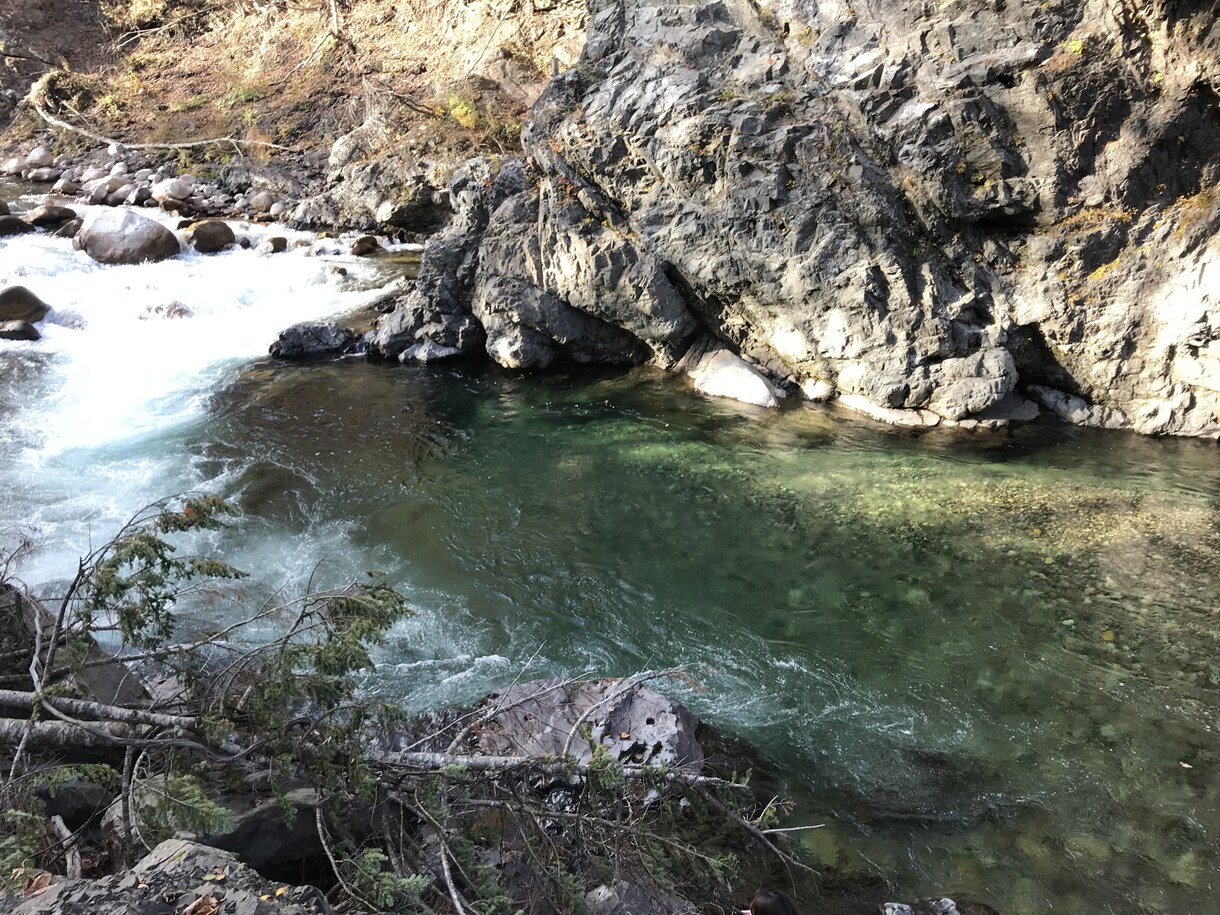 北海道のルアー渓流釣りのコツ色々おしえます 難しいルアーでの渓流釣りをサポートします！ イメージ4