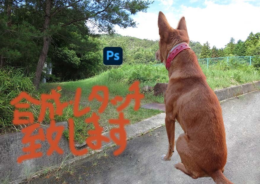 写真合成、編集、加工いたします フォトショップを使用して写真を加工します イメージ1